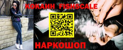 стаф Кингисепп