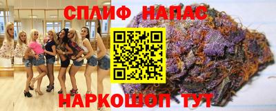 стаф Кингисепп