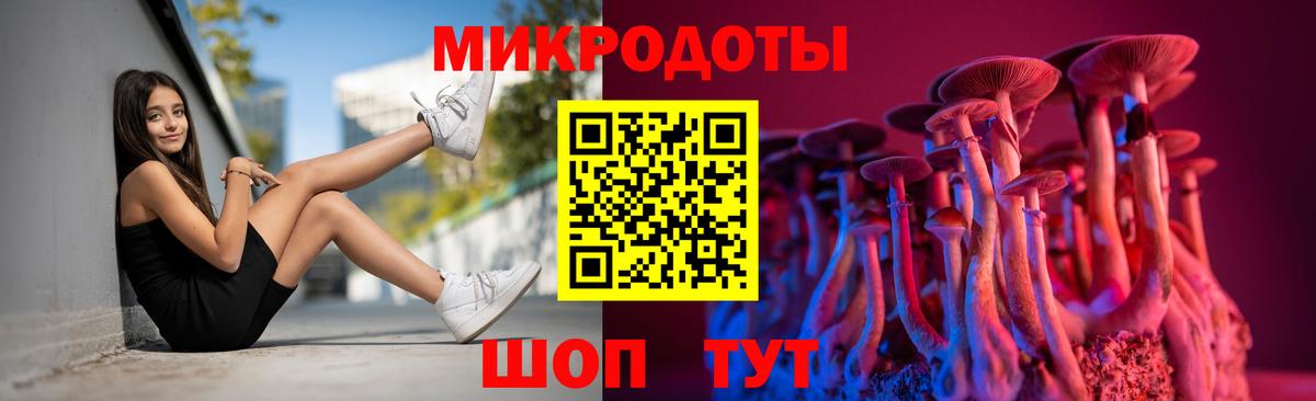 Галлюциногенные грибы мицелий  наркошоп  Вход с VPN  Котлас  Псилоцибиновые грибы ЛСД 